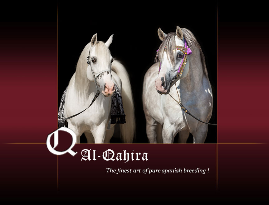 Al Qahira